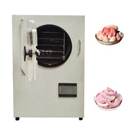 Professionele leverancier van vriesdroogmachines voor koffie / Lyofilisator vriesdroogmachines / Vriesdroogmachines