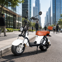 Vente en gros d'usine, scooter électrique 1000W, batterie lithium 20Ah, freins à disque hydrauliques, Citycoco pour adultes avec Bluetooth