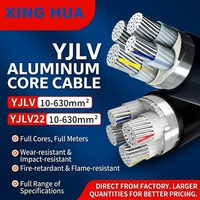 Câble d'alimentation blindé en aluminium XLPE PVC 0,6/1 kV Yjlv22, conducteur en aluminium, 2/3/4/5 conducteurs
