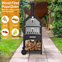 Four à pizza extérieur NL-2025, barbecue au charbon de bois, portable, en métal noir, petit four à pizza à flamme de bois, gril extérieur