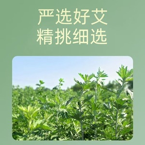 Haishi hainuo mugwort อ่างแช่เท้าใบ500g บำรุงสำหรับใช้ในครัวเรือน - Product Image 5