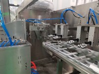 Machine d'emballage horizontale préfabriquée pour sachets duplex 60-80 ppm, remplisseuse et scelleuse de sachets à bec verseur