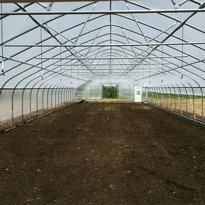 상업 산업 다른 온실 단일 스팬 높은 터널 토마토 플라스틱 농업 온실