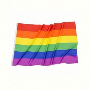 Bandera del Orgullo Gay/Lesbiana/LGBT de Poliéster de Alta Calidad, 3x5 pies, Diseño Vibrante y Elegante para la Diversidad e Inclusión - Product Image 5