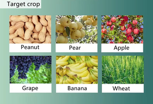 <span class=keywords><strong>Engrais</strong></span> liquide et en poudre à base d'acide humique, conditionneur de sol organique haute performance <span class=keywords><strong>pour</strong></span> l'agriculture - Product Image 5