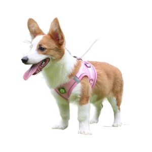 Grosir tali kekang hewan peliharaan desain baru tali anjing sejuk reflektif untuk anak anjing produk hewan peliharaan bergaris kancing taktis mewah - Product Image 5