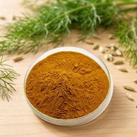 Ekstrak Biji Adas Herbal Foeniculum Vulgare 20:1 10:1 Larut dalam Air Kemasan Vakum Drum untuk Suplemen Makanan
