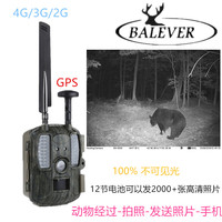 Caméras de surveillance avec capteur CMOS 12MP, GPS 4G, étanches IP66, écran 2,0 pouces, vidéo 1080P, configuration via application pour la faune et la chasse