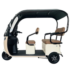 Tricycle électrique à 3 roues préféré des jeunes carrosserie ouverte voiture en acier 200kg charge utile motorisée CEE/Dot certifiée pour <span class=keywords><strong>passager</strong></span> - Product Image 6