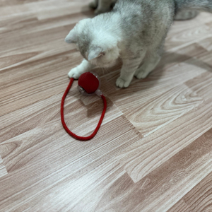 2025 sıcak satış hareketli elektrikli kedi topları mutlu interaktif Speedy kuyruk kedi oyuncak top Pet interaktif hareket oyuncaklar - Product Image 5