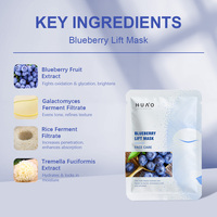 Masque facial en feuille parfumé aux myrtilles, anti-âge, hydratant, éclaircissant, pour tous types de peaux