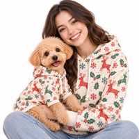 Ensemble de sweats à capuche personnalisés pour humain et chien, personnalisation 1 pièce, vêtements pour animaux de compagnie Halloween, Ropa Para Perros, sweat à capuche chien citrouille