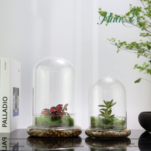 Terrario Moderno in Vetro Trasparente con Foro <span class=keywords><strong>per</strong></span> l'Aria, Vaso da Tavolo Ecologico <span class=keywords><strong>per</strong></span> <span class=keywords><strong>Piante</strong></span> <span class=keywords><strong>Grasse</strong></span>, Muschio, Mini Giardino, Decorazione <span class=keywords><strong>per</strong></span> Casa e Ufficio - Product Image 1