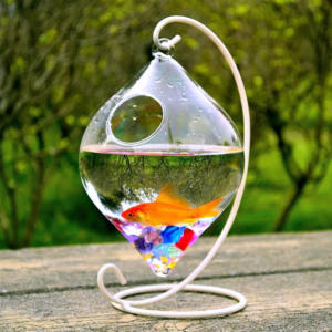 Transparant Creatief Hangend Type Glazen <span class=keywords><strong>Aquarium</strong></span> Accessoires Tafelblad Klein <span class=keywords><strong>Aquarium</strong></span> - Product Image 1