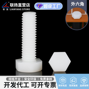 Tornillos de Nylon Hexagonales Externos Lianyang, Métricos de 10 mm, Cabeza Plana, Plástico Blanco Aislado, Uso Estándar - Product Image 5