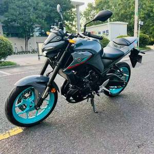 High-Performance 321cc Water-Cooled Four-Stroke DOHC Four-Valve Inline-Twin Engine Sportbike for City and Highway Riding - Product Image 1