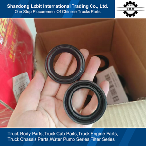 Kamyon yedek parçaları MT13 MT07 doğal gaz motoru yüksek kaliteli ateşleme bobini burç astar yağ keçesi 082V03905-0173 - Product Image 2