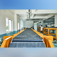 Nuevo Sistema Clasificador de Banda Estrecha de Transporte Lineal Ajustable de Alta Velocidad, Diseño Duradero, 99.99% de Precisión de Clasificación, 8000-18000