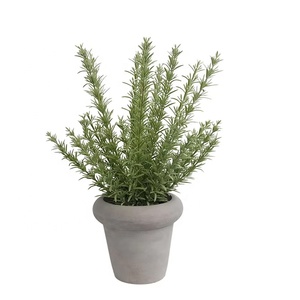 Fournisseur Oh Arts - Vente en gros de plantes artificielles en pot, <span class=keywords><strong>thym</strong></span> floqué pour la décoration intérieure - Product Image 2