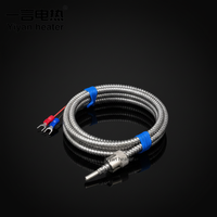 Sonde de température industrielle à trois fils en acier inoxydable Yiyan, capteur de température à puce RTD, classe vis baïonnette-e