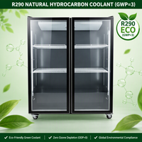 Réfrigérateur commercial vertical mince pour boissons, sans givre, avec porte vitrée simple, pour station-service et café