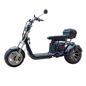 Monopattino Elettrico a Tre Ruote EHoodax EB-05WQ con Motore Singolo, Super Veloce, 1500W, Ruote da 12 Pollici - Product Image 5