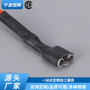 Aiguille d'allumage pour brûleur à gaz HF 043 en acier inoxydable intégrée pour chaudières industrielles - Product Image 5