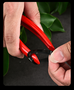 Cisailles de taille-haie et de coupe de fleurs de petite taille en acier inoxydable DaringFish - Product Image 2