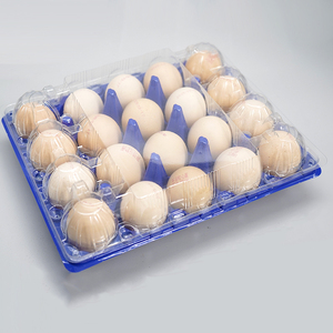 Hot Sale Disposable 30-Cell Plastic Medium <strong>Egg</strong> Tray Clamshell PET <strong>Material</strong> Blister Easy Bottom Cover Separation Food Grade - Product Image 2