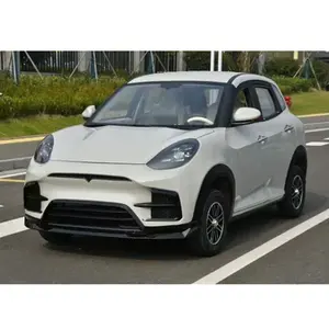 Hot Sale 2 Door 4 Seats Chinese Factory Supplier Low Speed 1500W Electric Cars EV Mini EV Car