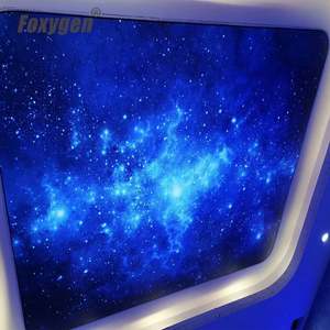 Foxygen Pvc película <span class=keywords><strong>de</strong></span> techo elástica vívida cielo <span class=keywords><strong>nocturno</strong></span> estrellado estrella <span class=keywords><strong>de</strong></span> fibra óptica decoración <span class=keywords><strong>de</strong></span> techo <span class=keywords><strong>de</strong></span> lujo - Product Image 2