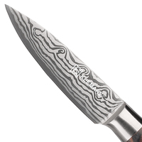 Hot Selling Damascus Patroon Rvs 3.5 Inch Keukenmes Fruit En Groente Snijden Pakka Hout Mes