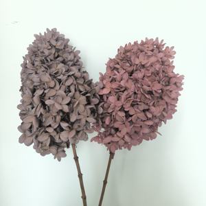 Grand <span class=keywords><strong>bouquet</strong></span> d'hortensia en bois vintage <span class=keywords><strong>bouquet</strong></span> de fleurs séchées conservées tour d'orange fleurs sèches stabilisées hortensia pour la décoration de mariage - Product Image 5