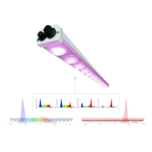 Uv Ir Wr Verstelbare Spectrum Licht Groeien Hoge Ppfd Voor Groeiende Succulent Aardbeien En Vleesetende Planten