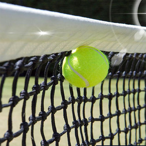 Yüksek kalite düşük fiyat tenis ağı s tekerlekler üzerinde tenis ağı top net özelleştirilebilir - Product Image 6