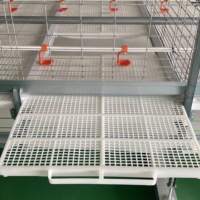 Cage à poulets de chair automatique de Type H de haute qualité pour fermes avicoles Nouvelle cage à batterie en maille d'acier pour poulailler