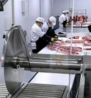 Nouvelle Scie Circulaire Automatique Robuste Kgentlest en Acier Inoxydable 304 pour Viande, Lame de 750 mm, 380V, Traitement Haute Efficacité 1