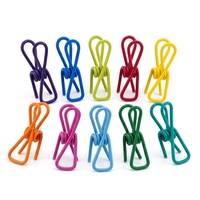 Pinces à linge colorées en fer, pinces à linge en plastique, 10 pièces, pinces de séchage pour la lessive, usage domestique