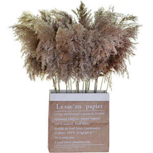 Decoración de festival de boda de bosque nórdico, flores esponjosas secas de <span class=keywords><strong>café</strong></span>, adornos retro, hierba natural grande pampas - Product Image 1