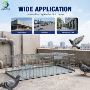 Trampa Plegable para Palomas, Trampa para Aves Vivas con Puertas Dobles de Una Vía, Trampa Humana para Aves de Acero Galvanizado OEM - Product Image 2
