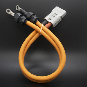 工厂定制高品质 2 针 120A 连接器至电缆接头和管端子汽车线束 - Product Image 2