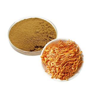 Chất lượng cao Cordyceps Militaris chiết xuất bột 0.3% 1% 3% Cordycepin Cordyceps <span class=keywords><strong>Sinensis</strong></span> chiết xuất Cordyceps Militaris chiết xuất - Product Image 2