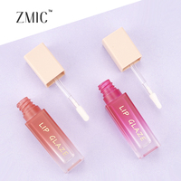 Tube de brillant à lèvres vide 5 ml dégradé rose-brun, flacon de gloss givré avec capuchon nude, tube carré pour rouge à lèvres liquide, marque privée