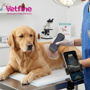 Ecógrafo Veterinario Portátil <span class=keywords><strong>Blanco</strong></span> y Negro, Máquina de Ultrasonido Veterinaria Tipo Laptop, Escáner <span class=keywords><strong>Blanco</strong></span> y Negro - Product Image 2