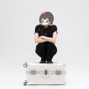 <span class=keywords><strong>Valise</strong></span> à <span class=keywords><strong>roulettes</strong></span> unisexe en PC 100 %, bagage cabine avec roues à 360 degrés et serrure TSA, <span class=keywords><strong>valise</strong></span> de luxe en aluminium – Offre Spéciale - Product Image 6