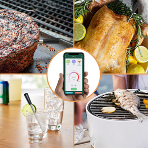 Termómetro Inalámbrico Inteligente para Cocina DD1067, Control por Aplicación, Medidor de Temperatura para Alimentos, Carne, Frituras, Horno - Product Image 2