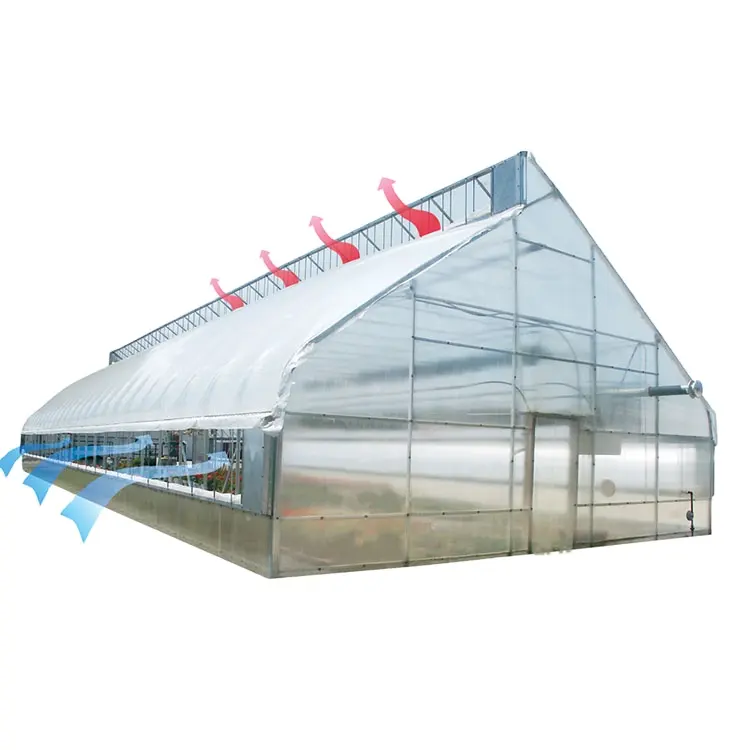 ONE-one low tunnel vegetable green house serre agricole agricultural greenhouse