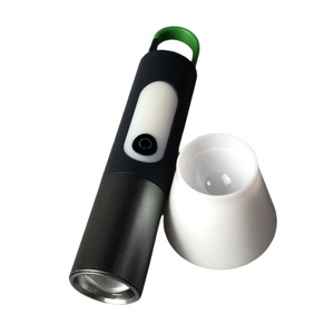 Nhà máy cung cấp LED torchlight sạc cầm tay di động cắm trại đèn lồng đêm đèn với móc Loại-C - Product Image 6