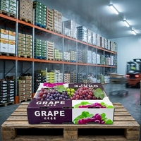 Boîte à fruits en plastique ondulé PP 4 mm 600x400x250 mm avec trous de ventilation pour la vente en gros, OEM ODM disponible