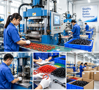 Dlseals HNBR Kompressor O-Ring Hitze- und Ölbeständige Gummidichtung für Luftkompressor Maßgefertigte Größe Fabriklieferung Industrieausrüstung